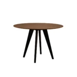 FABpolaris Extendable - Slika 2