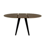 FABpolaris Extendable - Slika 4